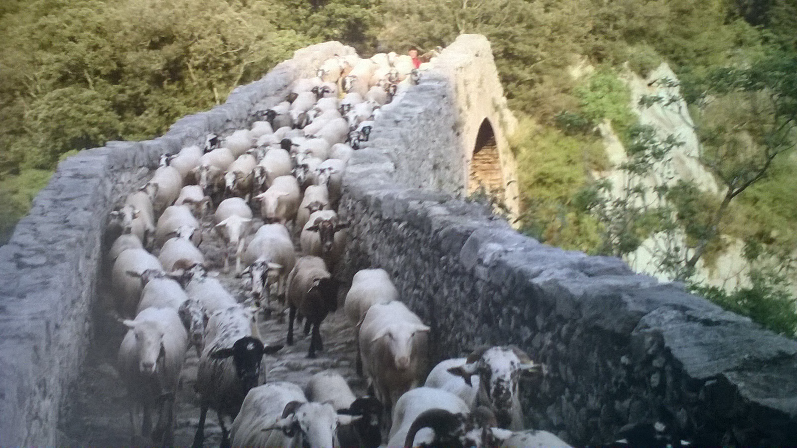 Consorci de l’Alta Garrotxa. Tortellà pont medieval del riu Llierca (Foto: Lejarza - Argelaguer)